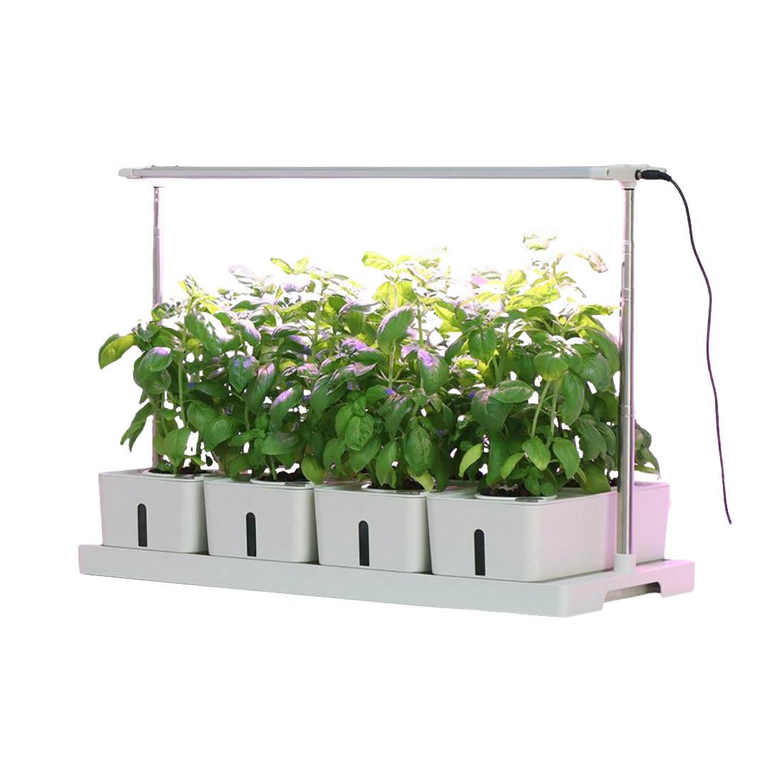 Hydroponisk odlinglådor med växtbelysning, för odling i vatten från RobotGarden