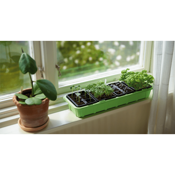 Minidrivhus från Nelson Garden för odling